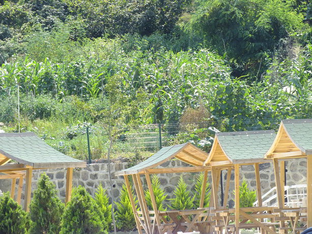 Imagen general del Royal Life Residence. Foto 2