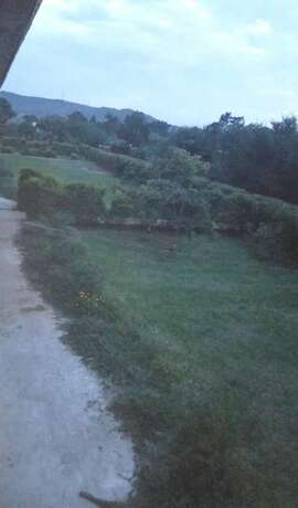 Imagen general del Royal Paradise Hotel. Foto 15