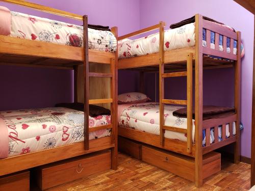 Imagen general del SAINT PETER\'S LLAMA HOSTAL. Foto 7