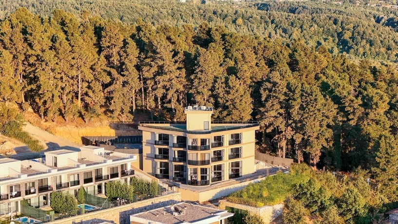 Imagen general del SAPANORA HOTEL SAPANCA. Foto 1