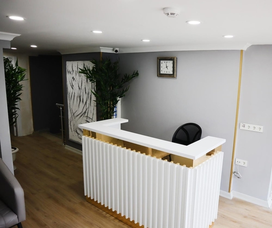 Imagen de los interiores del SERENITY SUIT HOTEL BAKIRK&Ouml;Y. Foto 15
