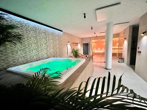 Imagen general del SILVER BALTIC. Foto 2