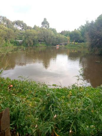 Imagen general del SOFA CAMP NAIVASHA. Foto 6