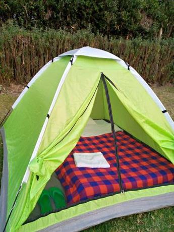 Imagen general del SOFA CAMP NAIVASHA. Foto 13