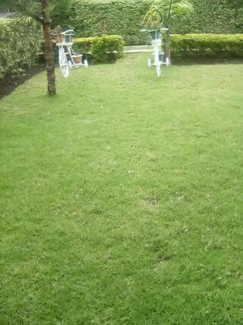 Imagen general del SOFA CAMP NAIVASHA. Foto 14