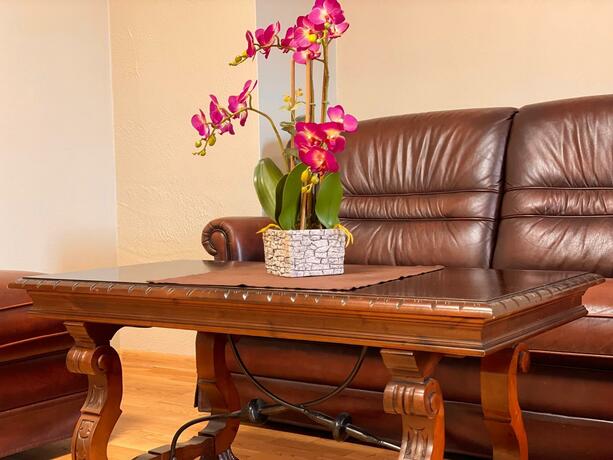 Imagen general del SPA&Hotel MŪSA PARADISE. Foto 6