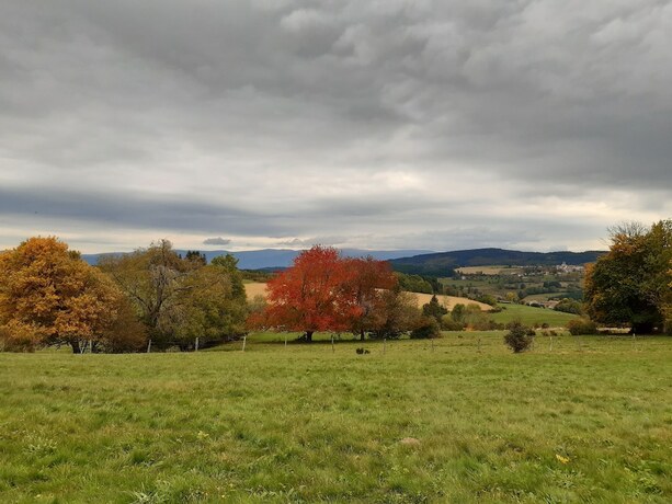 Imagen general del S.P.L. SAVILOISIRS. Foto 1