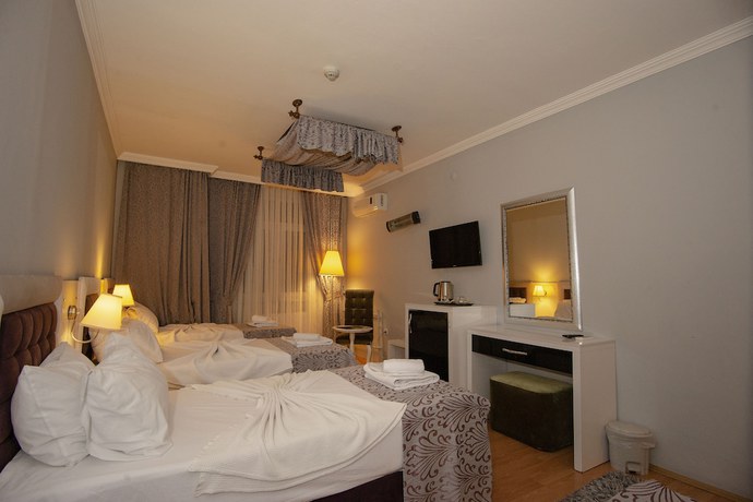 Imagen de la habitación del SRF Hotel. Foto 6