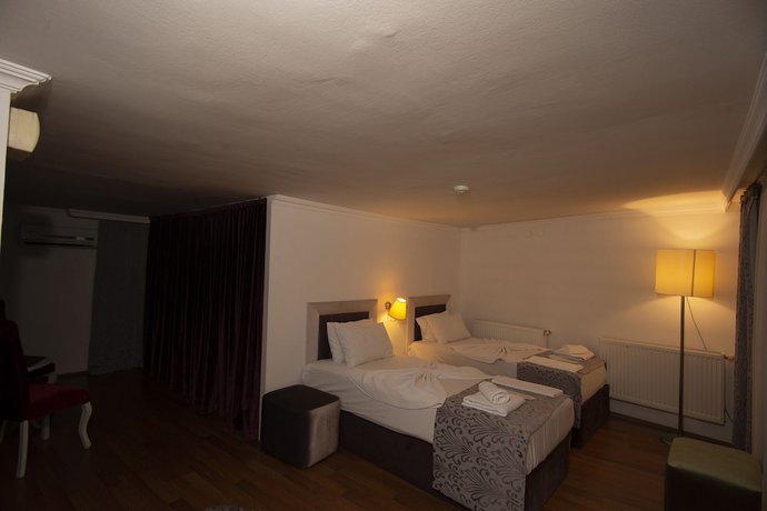 Imagen de la habitación del SRF Hotel. Foto 19