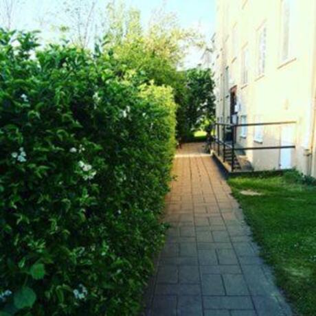 Imagen general del STF Karlshamn Vandrarhem. Foto 25