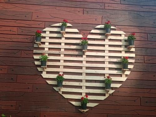 Imagen general del SUMMER GREEN RESORT. Foto 9