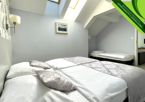 Imagen general del SW Apartamenty Czarna G&oacute;ra. Foto 4