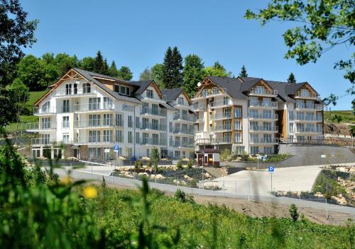 Imagen general del SW Apartamenty Czarna G&oacute;ra. Foto 15