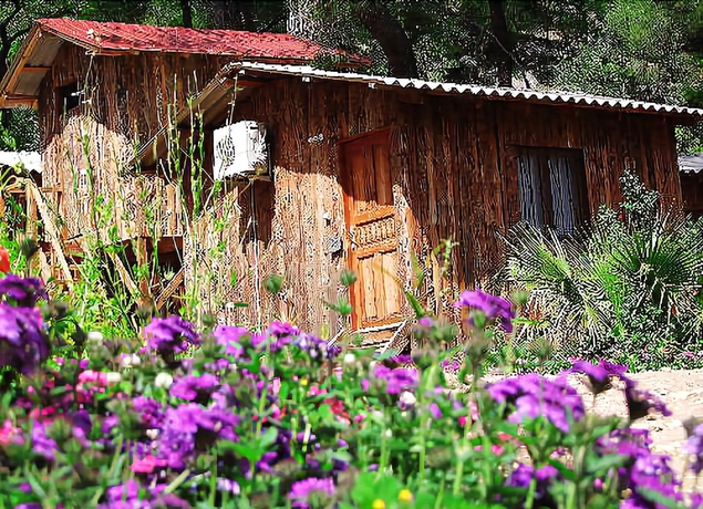 Imagen general del Saban Tree Houses. Foto 2