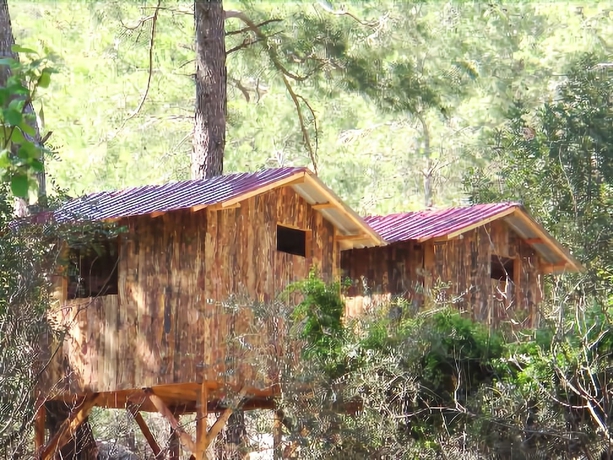 Imagen general del Saban Tree Houses. Foto 3