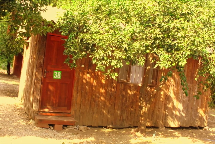 Imagen general del Saban Tree Houses. Foto 4