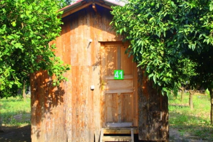 Imagen general del Saban Tree Houses. Foto 5