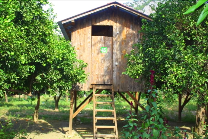 Imagen general del Saban Tree Houses. Foto 6