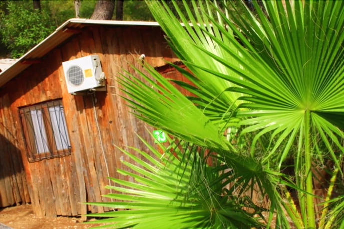 Imagen general del Saban Tree Houses. Foto 8