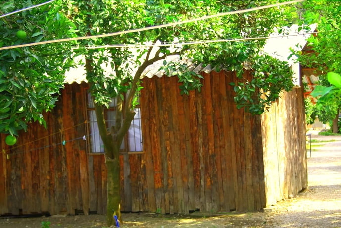 Imagen general del Saban Tree Houses. Foto 9