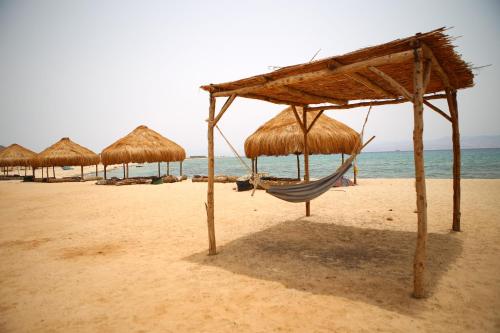 Imagen general del Safari Beach Nuweiba. Foto 1