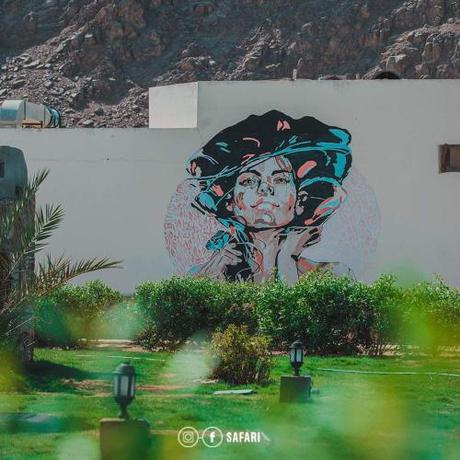 Imagen general del Safari Beach Nuweiba. Foto 5