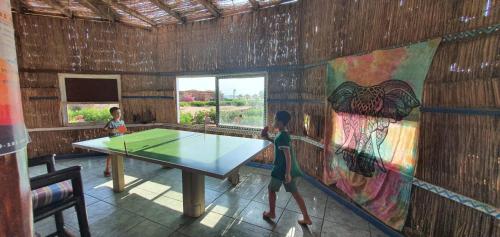 Imagen general del Safari Beach Nuweiba. Foto 6