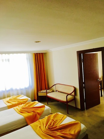 Imagen de la habitación del Safari Otel. Foto 7