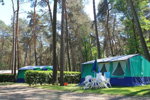 Imagen general del Safaritent at Familiepark Goolderheide. Foto 10