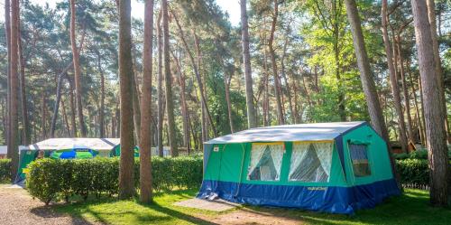 Imagen general del Safaritent at Familiepark Goolderheide. Foto 11