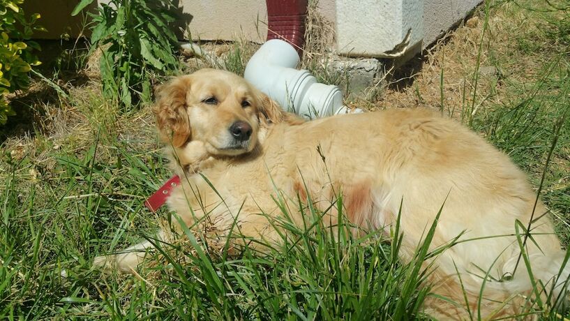 Imagen general del Safir Butik Otel. Foto 13