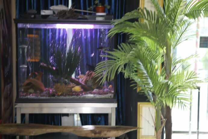 Imagen general del Safir Hotels Silivri. Foto 9
