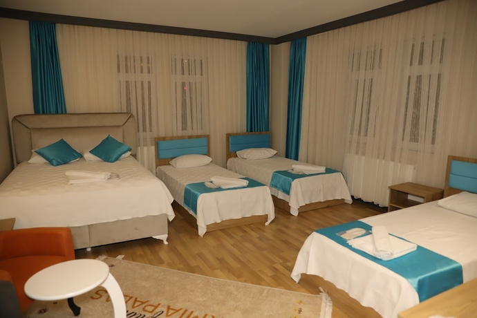 Imagen de la habitación del Safran Germia Palas, Karab&uuml;k. Foto 4