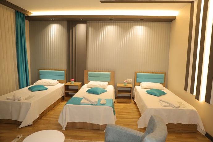 Imagen de la habitación del Safran Germia Palas, Karab&uuml;k. Foto 9