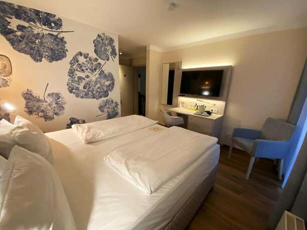 Imagen general del Safranberg Hotel and Sauna. Foto 1