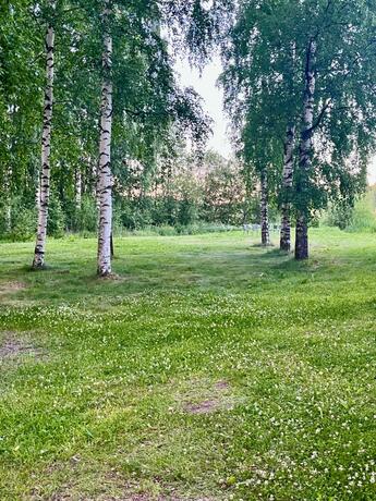 Imagen general del Salonsaaren Lomakylä. Foto 52