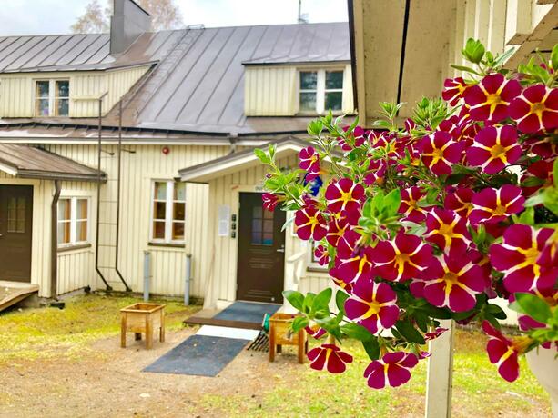 Imagen general del Salonsaaren Lomakylä. Foto 60