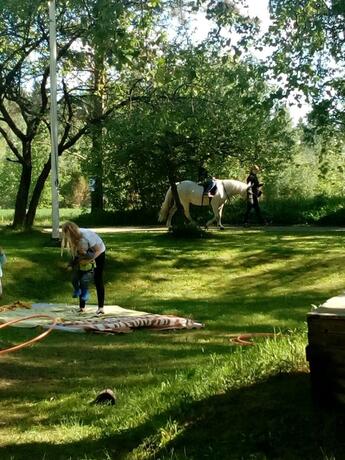 Imagen general del Salonsaaren Lomakylä. Foto 72