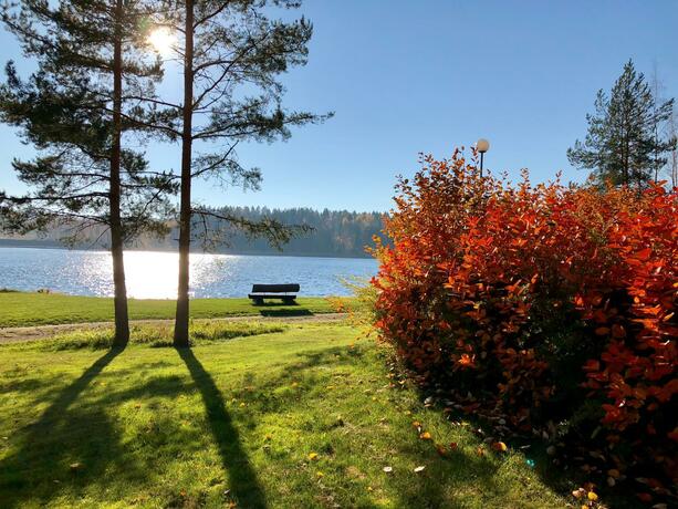 Imagen general del Salonsaaren Lomakylä. Foto 74