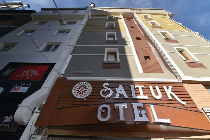 Imagen general del Saltuk Otel. Foto 11