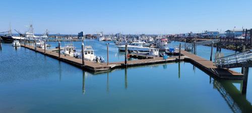 Imagen general del Saltwater Inn, Westhaven. Foto 4