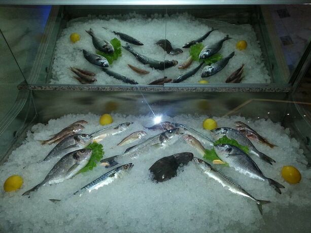 Imagen general del Samyeli Otel ve Restaurant. Foto 11