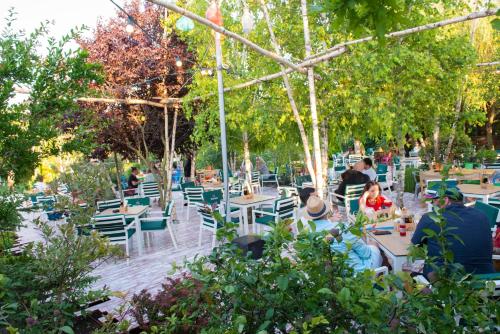 Imagen general del Sandalandala. Foto 8