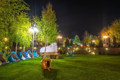 Imagen general del Sandalandala. Foto 15