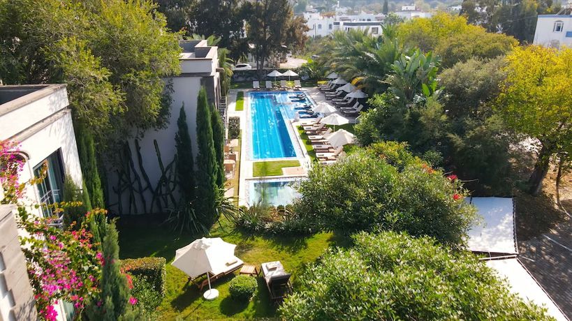 Imagen de la piscina del Sandora Boutique Hotel. Foto 20