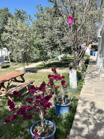 Imagen general del Sans Butik Otel. Foto 12