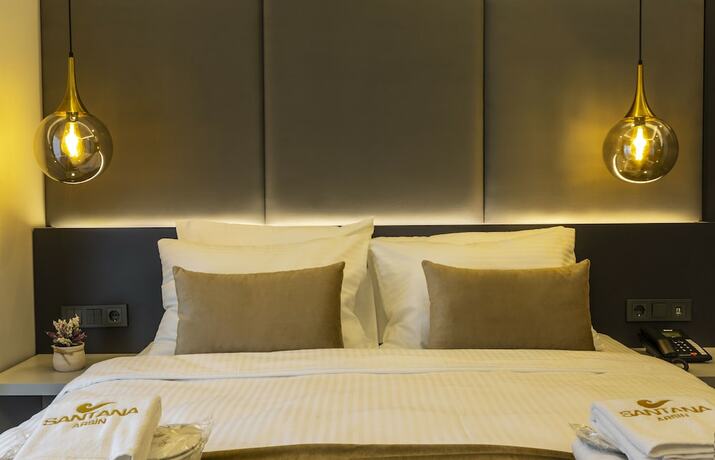Imagen de la habitación del Santana Hotel. Foto 15