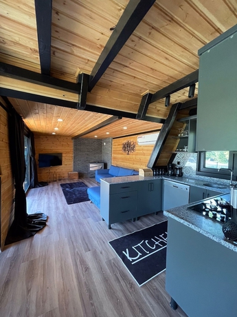 Imagen de la habitación del Sapanca Elysian Bungalow. Foto 5