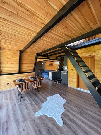 Imagen de la habitación del Sapanca Elysian Bungalow. Foto 6