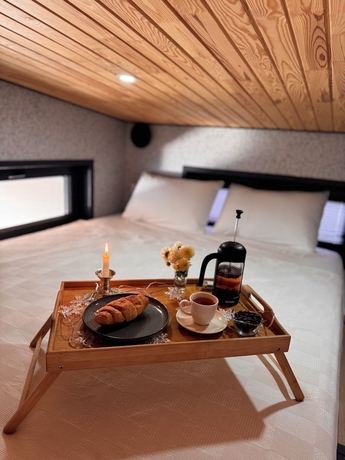 Imagen de la habitación del Sapanca Tiny Home. Foto 5
